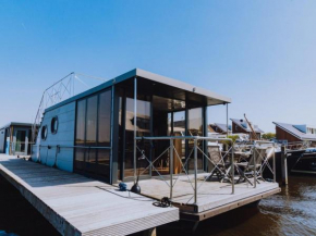 Modern houseboat with roof terrace, on Uitgeestermeer